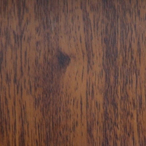 Дуб Сокальский