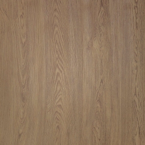 Ель Карпатская