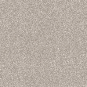 Шампань(супермат)