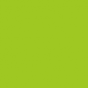 Яблоко глянец