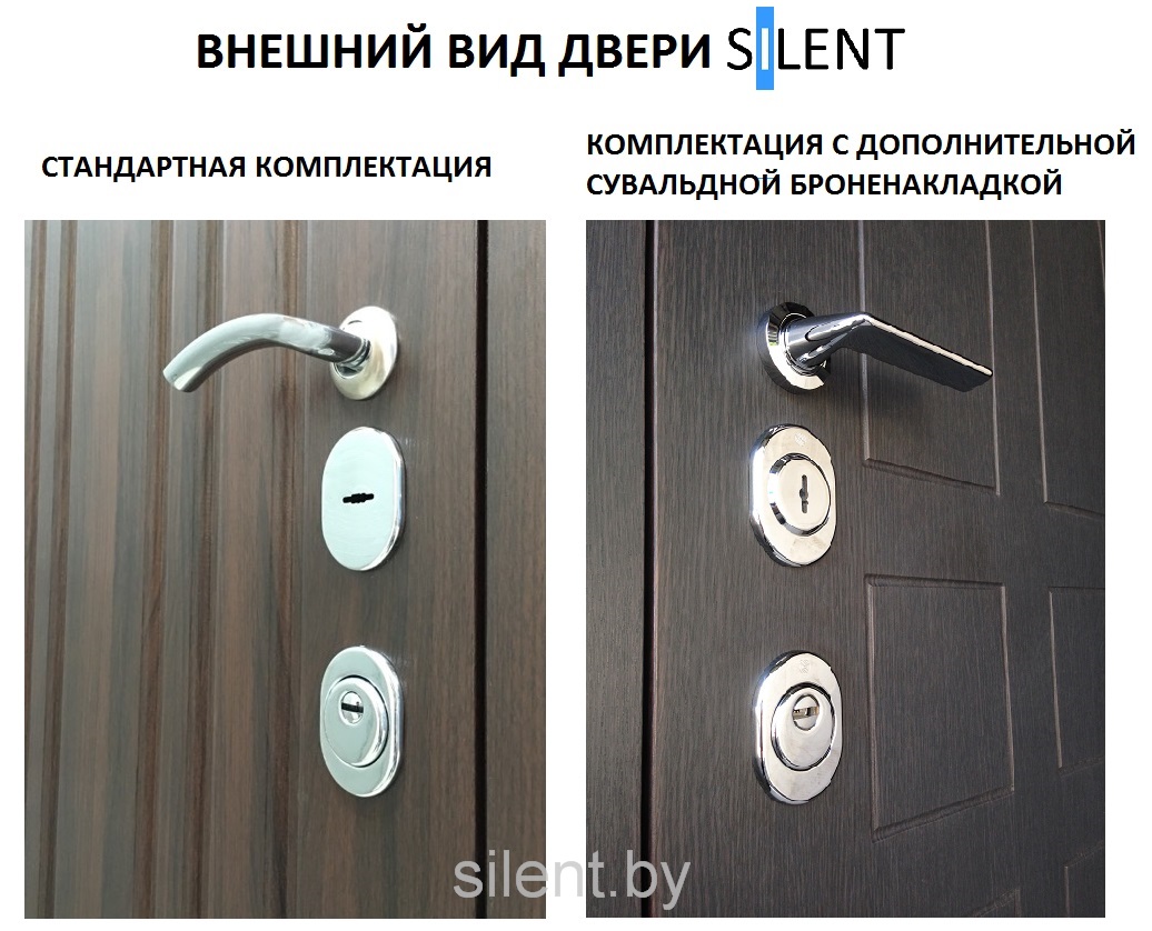 внешний вид двери